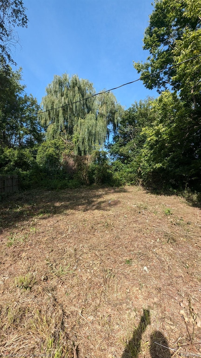 14025 Dacosta St, Detroit, MI 48223 - photo 15