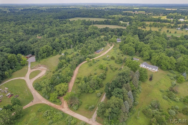 15858 Lelah Ln, Addison, MI 49220 - aerial view of property's location with a forest