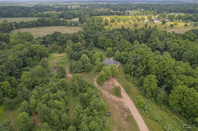 15858 Lelah Ln, Addison, MI 49220 - aerial view of property and surrounding area with a heavily wooded area