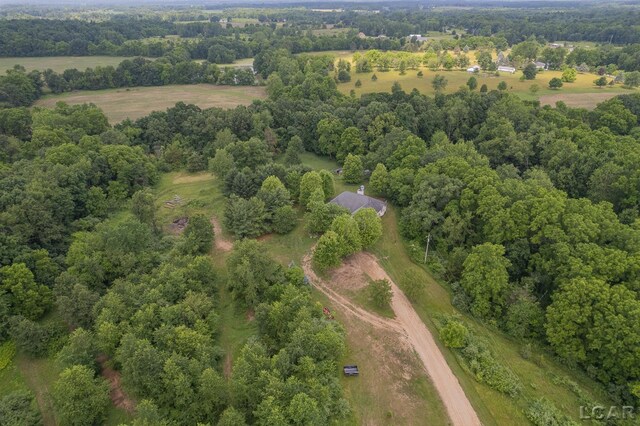 15858 Lelah Ln, Addison, MI 49220 - photo 47