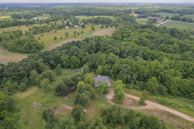 15858 Lelah Ln, Addison, MI 49220 - aerial view of property and surrounding area with rural landscape