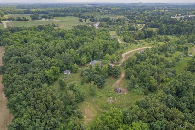 15858 Lelah Ln, Addison, MI 49220 - aerial view of a forest