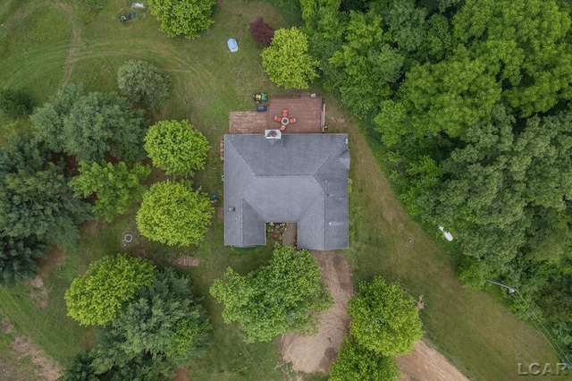 15858 Lelah Ln, Addison, MI 49220 - view of subject property