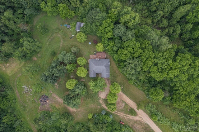 15858 Lelah Ln, Addison, MI 49220 - aerial view of property's location