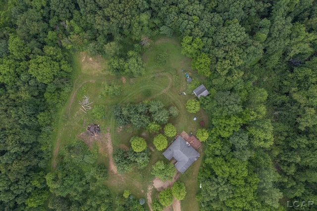15858 Lelah Ln, Addison, MI 49220 - aerial overview of property's location