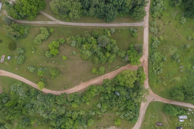 15858 Lelah Ln, Addison, MI 49220 - aerial overview of property's location