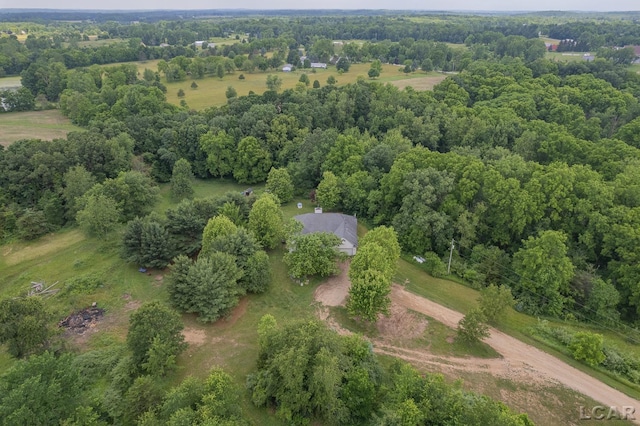 15858 Lelah Ln, Addison, MI 49220 - aerial view