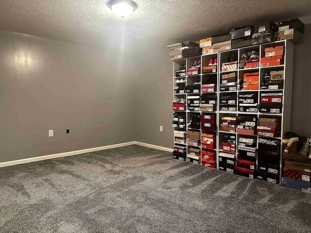 15858 Lelah Ln, Addison, MI 49220 - interior space featuring a textured ceiling