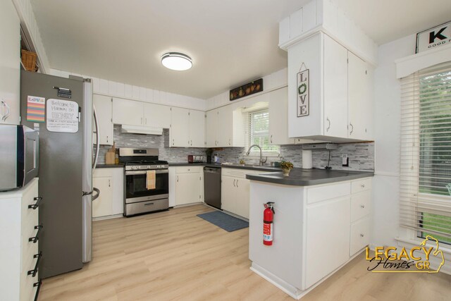 820 Henry Ave SE, Grand Rapids, MI 49507 - photo 9