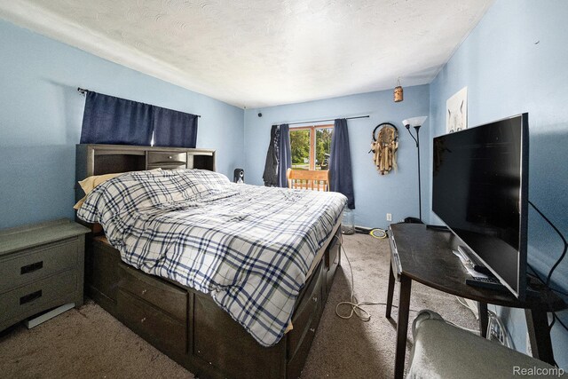 48150 Wear Rd, Romulus, MI 48111 - photo 16
