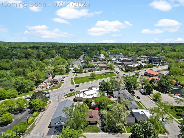 30 Beebe St, Lake Orion, MI 48362 - drone / aerial view of a heavily wooded area