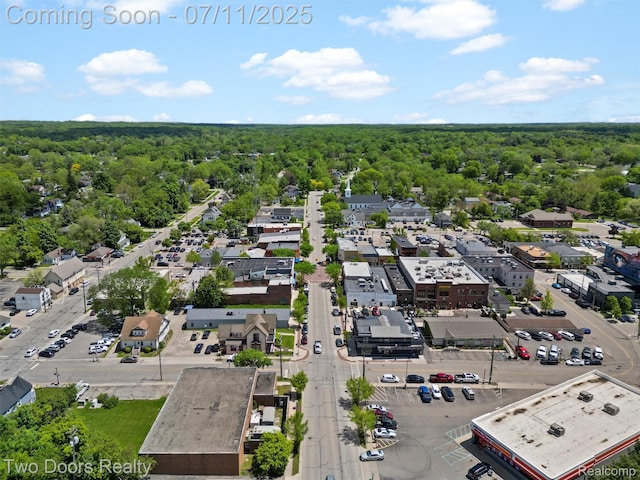 30 Beebe St, Lake Orion, MI 48362 - drone / aerial view of a heavily wooded area