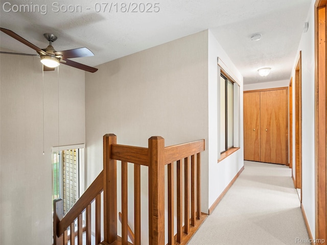 1116 Knob Creek Dr, Rochester, MI 48306 - photo 30