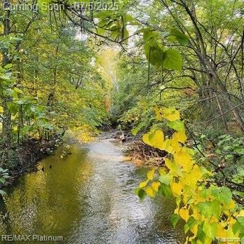 11634 Spicer Dr, Plymouth, MI 48170 - water view with a forest