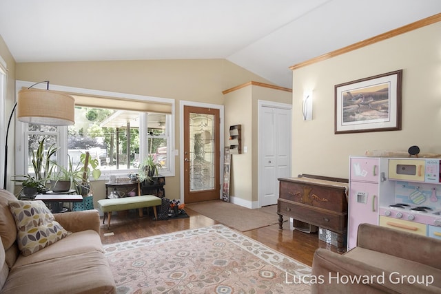 1003 Kusterer Dr NW, Grand Rapids, MI 49534 - living area with lofted ceiling and wood finished floors