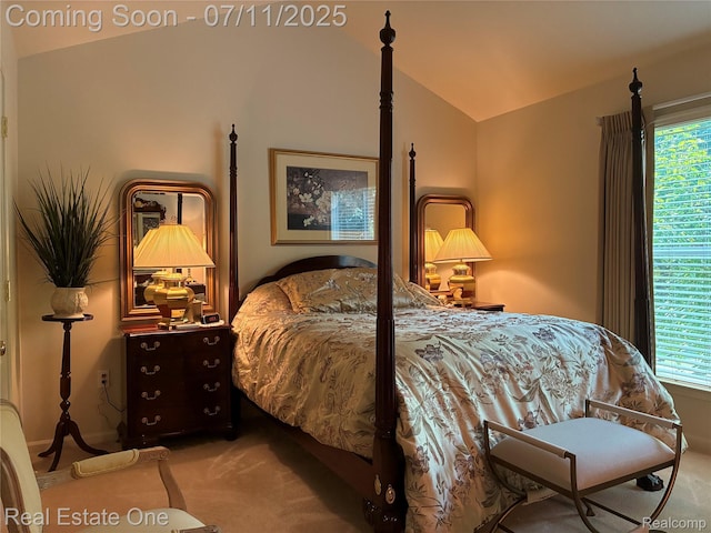 8205 Sequoia Ln, White Lake, MI 48386 - photo 16