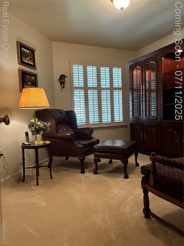 8205 Sequoia Ln, White Lake, MI 48386 - photo 21