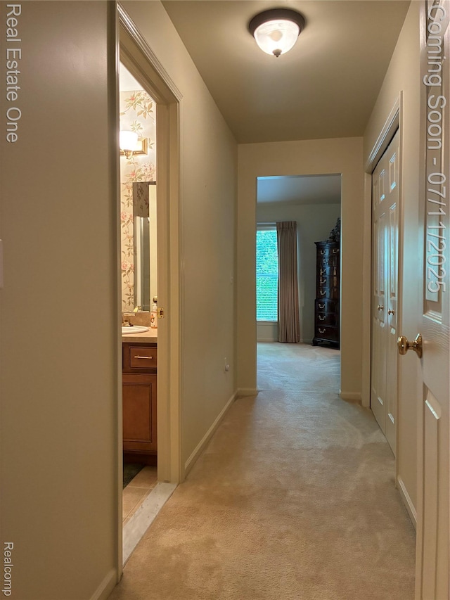 8205 Sequoia Ln, White Lake, MI 48386 - photo 15