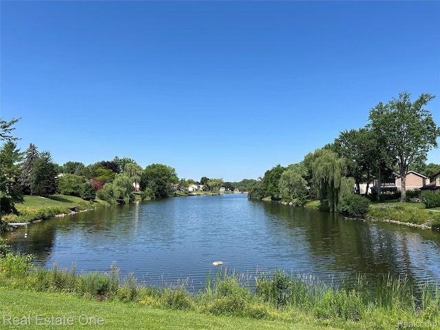39728 Village Wood Cir, Novi, MI 48375 - water view