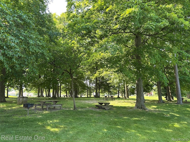 39728 Village Wood Cir, Novi, MI 48375 - surrounding community with a yard