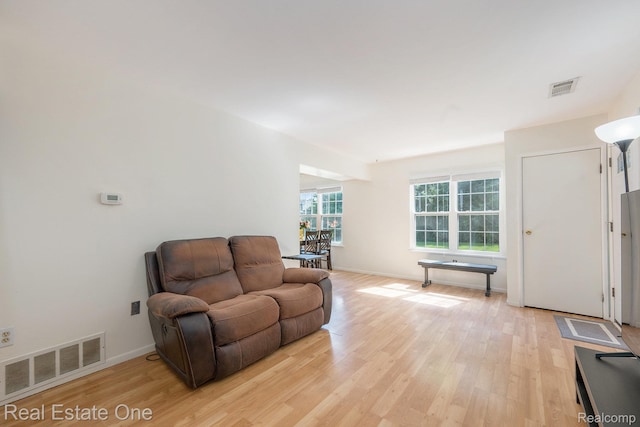 39728 Village Wood Cir, Novi, MI 48375 - living area featuring light wood-style floors and baseboards