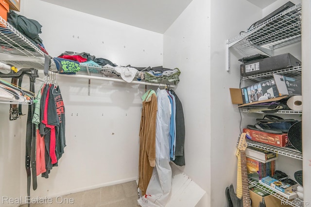 39728 Village Wood Cir, Novi, MI 48375 - view of walk in closet