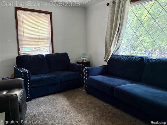 686 E Columbia Ave, Pontiac, MI 48340 - carpeted living area featuring plenty of natural light