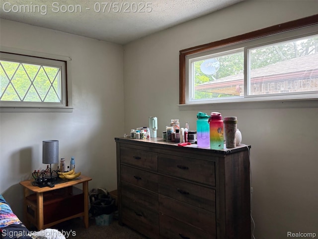 686 E Columbia Ave, Pontiac, MI 48340 - carpeted bedroom featuring multiple windows