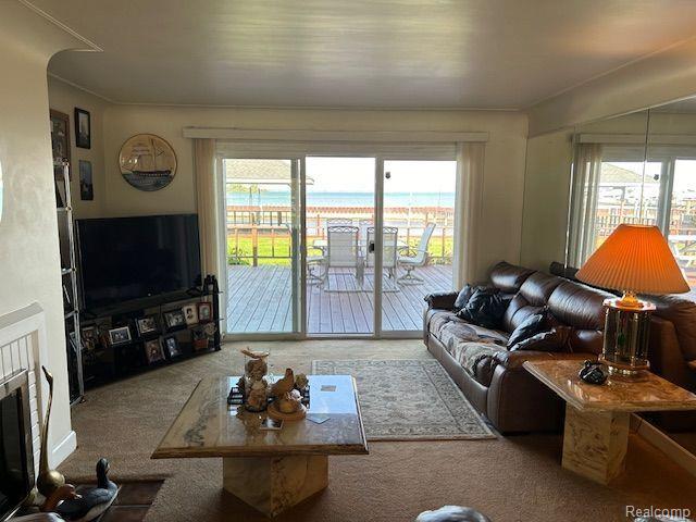 32241 N River Rd, Harrison Township, MI 48045 - living area featuring plenty of natural light, carpet floors, and a fireplace