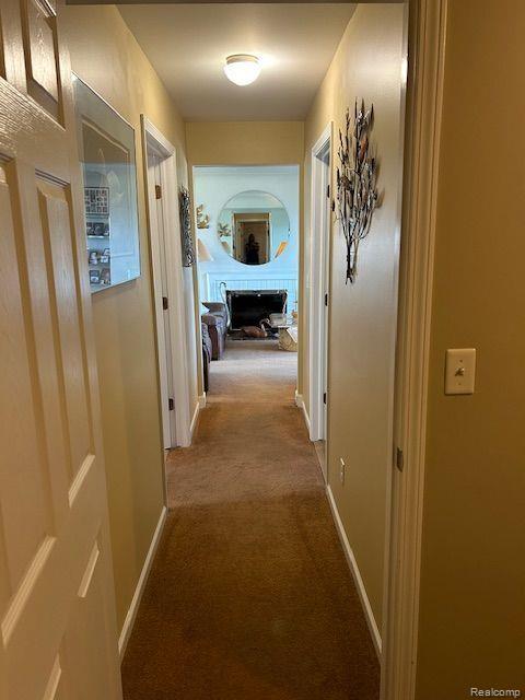 32241 N River Rd, Harrison Township, MI 48045 - corridor featuring light colored carpet and baseboards