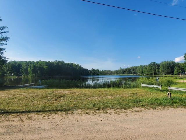 7956 Manitonka Ln, Weidman, MI 48893