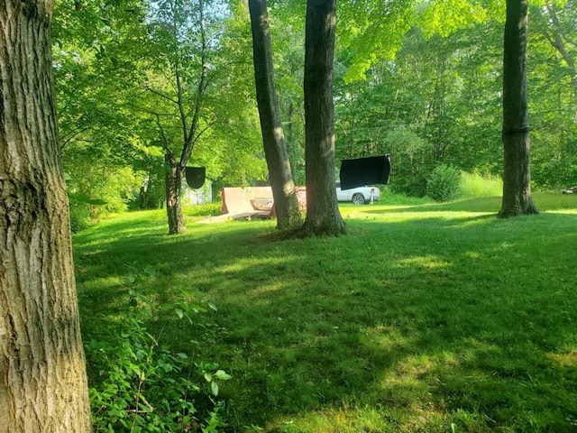 7956 Manitonka Ln, Weidman, MI 48893