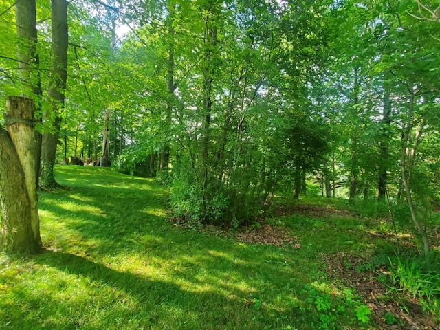 7956 Manitonka Ln, Weidman, MI 48893