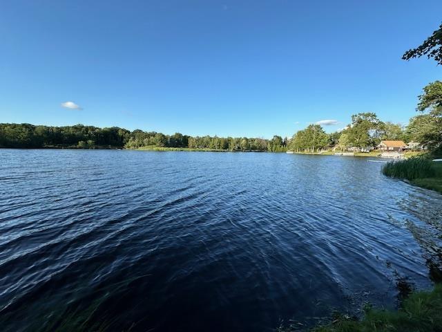 6900 W Shore Dr, Weidman, MI 48893