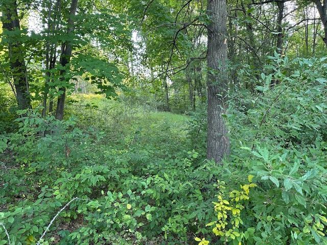 6900 W Shore Dr, Weidman, MI 48893