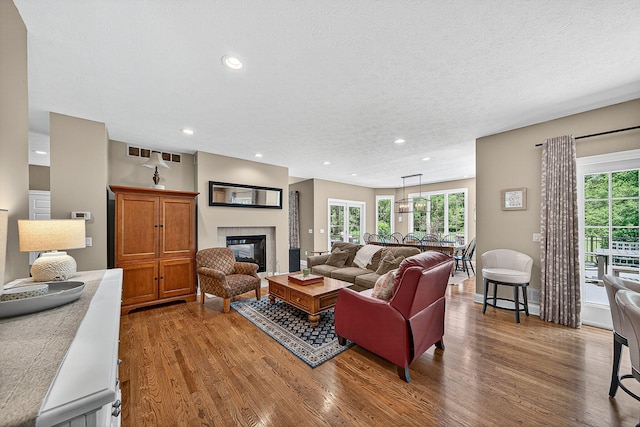 29750 Edwards Way, Niles, MI 49120 - living area featuring wood finished floors, healthy amount of natural light, a glass covered fireplace, a textured ceiling, and recessed lighting