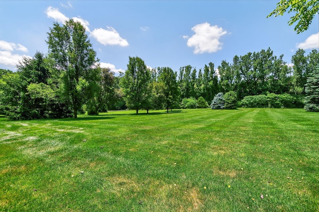 29750 Edwards Way, Niles, MI 49120 - view of green lawn