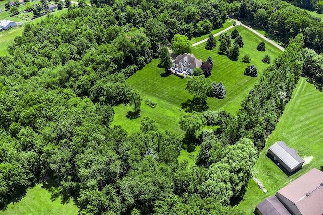 29750 Edwards Way, Niles, MI 49120 - drone / aerial view