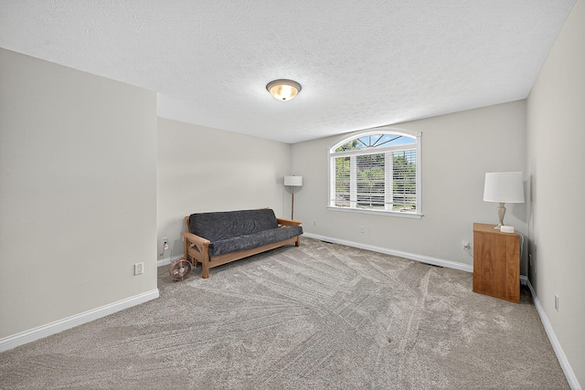 29750 Edwards Way, Niles, MI 49120 - living area with carpet floors and a textured ceiling