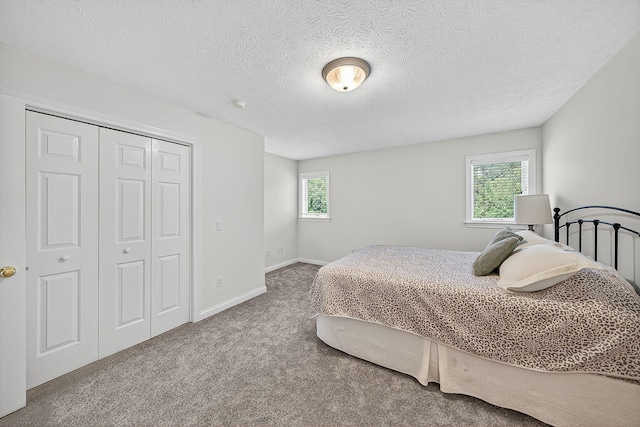 29750 Edwards Way, Niles, MI 49120 - bedroom featuring carpet floors, a closet, and a textured ceiling