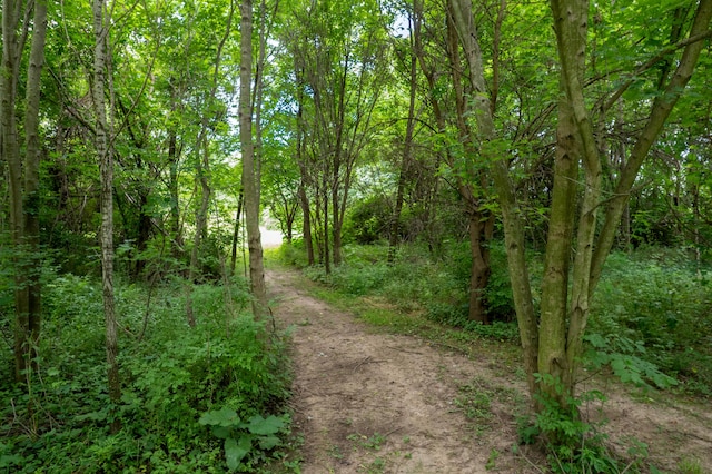 2314 Hand Rd, Niles, MI 49120 - view of woods