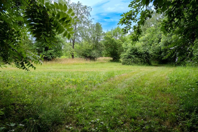 2314 Hand Rd, Niles, MI 49120 - view of undeveloped land