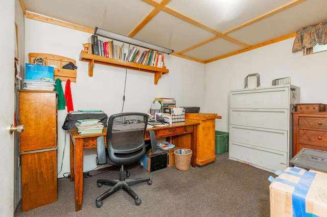 2314 Hand Rd, Niles, MI 49120 - office area with carpet floors