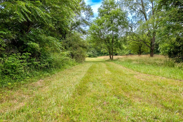 2314 Hand Rd, Niles, MI 49120 - view of yard