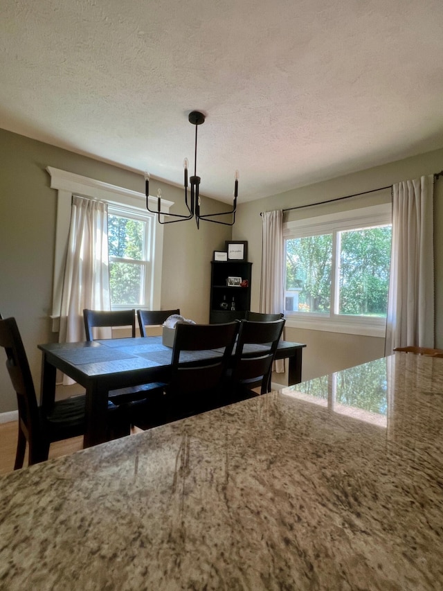 7220 W 64th St, Fremont, MI 49412 - dining room featuring a chandelier and a textured ceiling