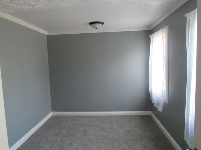 168 Fremont St, Bronson, MI 49028 - carpeted spare room featuring crown molding and a textured ceiling