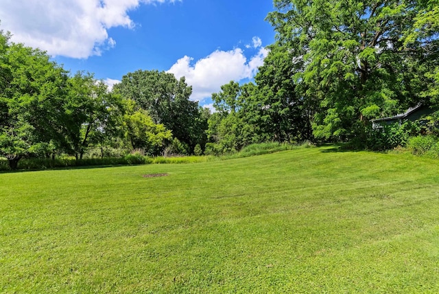 312 S Seymour Rd, Flushing, MI 48433 - photo 16