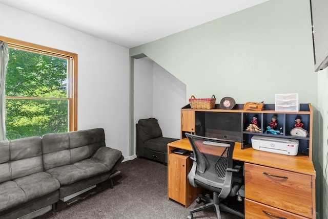 312 S Seymour Rd, Flushing, MI 48433 - photo 29