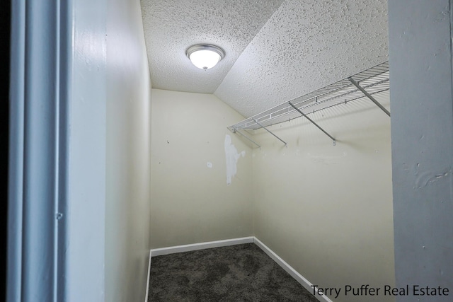594 Oak Ave, Muskegon, MI 49442 - walk in closet with lofted ceiling and carpet flooring
