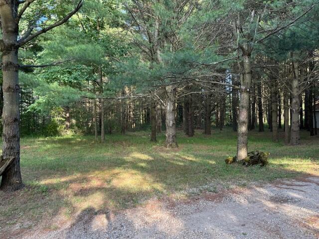 1422 E Monroe St, White Cloud, MI 49349 - view of yard with a forest view